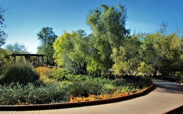 Springs Preserve Botanical Garden at Springs Preserve
