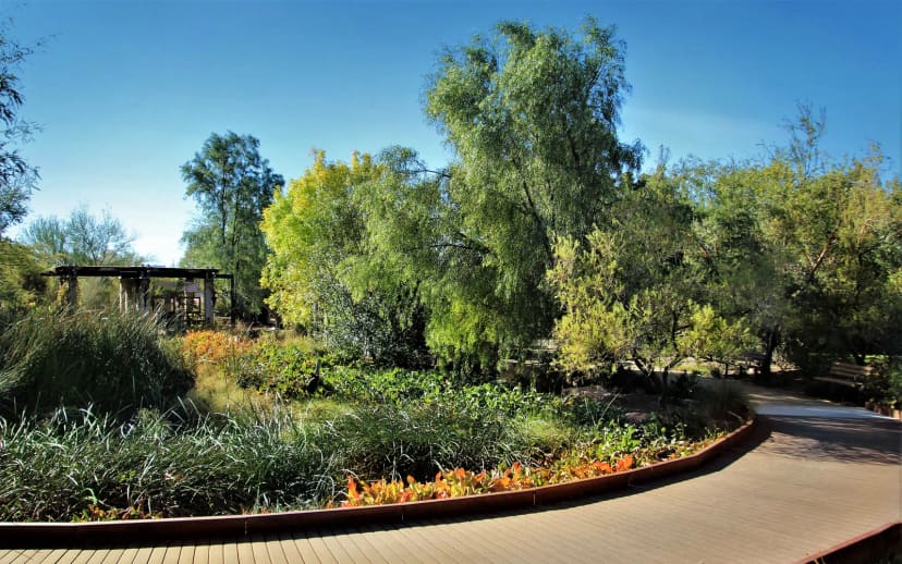 Springs Preserve Botanical Garden at Springs Preserve