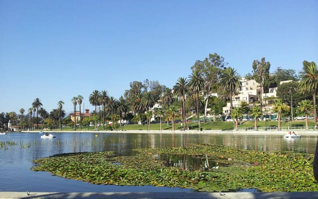 Echo Park Boathouse Cafe at Echo Park Lake