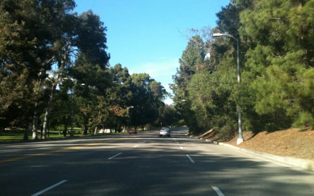Elysian Fields at Elysian Park