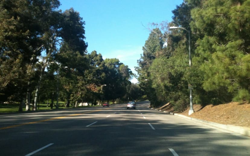 Elysian Fields at Elysian Park