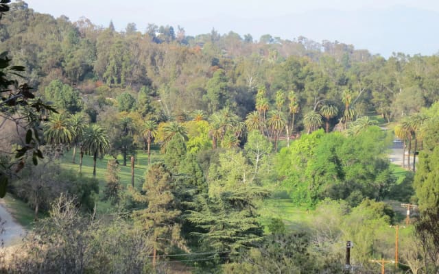Angel's Point at Elysian Park