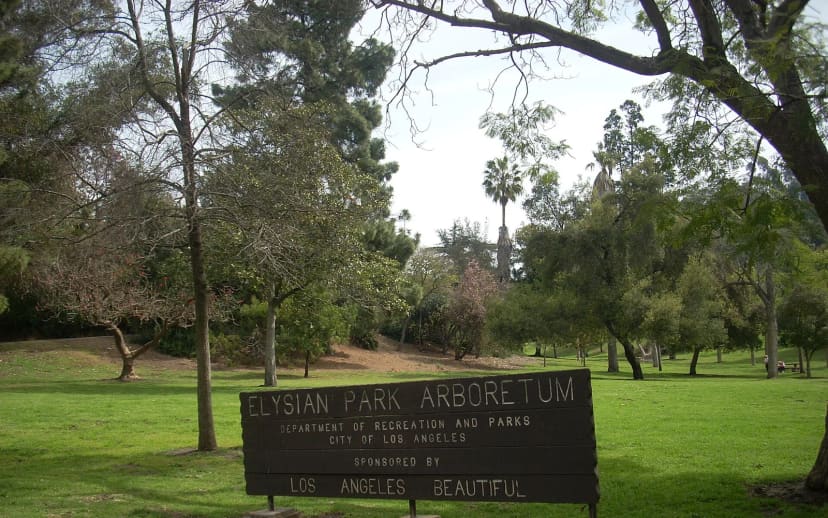 Chavez Ravine Arboretum at Elysian Park