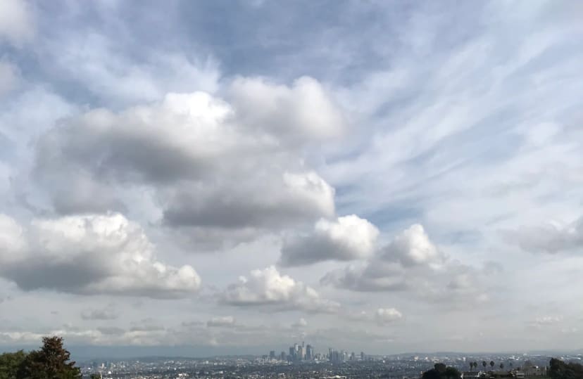 Martin Luther King Jr. Memorial Tree Grove at Kenneth Hahn State Recreation Area