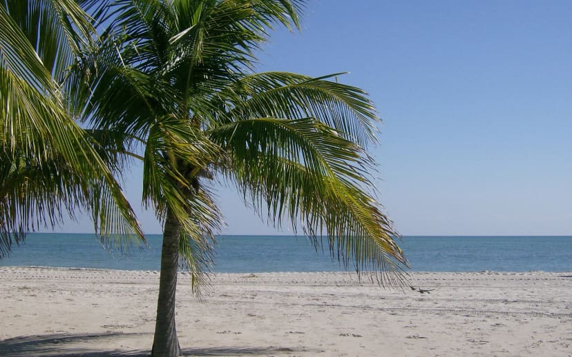 Crandon Park in Key Biscayne, Florida