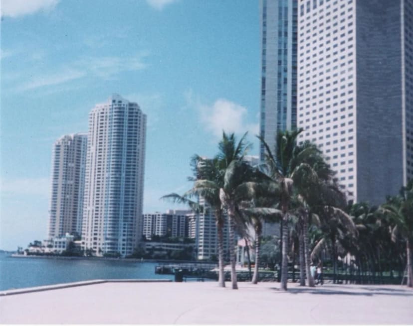 Bayfront Park palms and Biscayne Bay waterfront