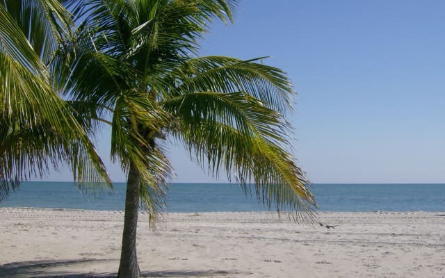 Crandon Beach at Crandon Park