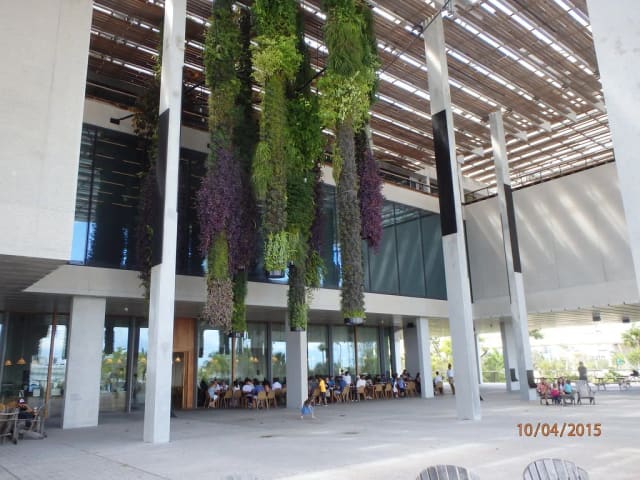Pérez Art Museum Miami at Maurice A. Ferré Park