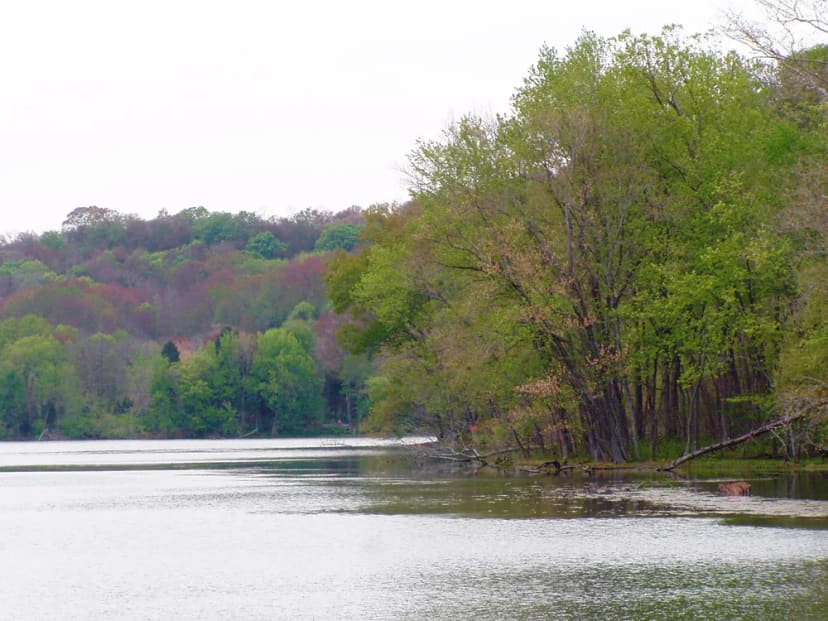 Radnor Lake State Natural Area in Nashville
