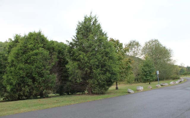 Harpeth Woods Trail at Warner Parks