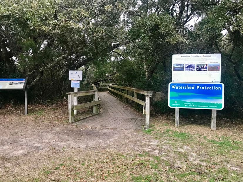 Hoop Pole Creek flowing through protected maritime forest and marsh
