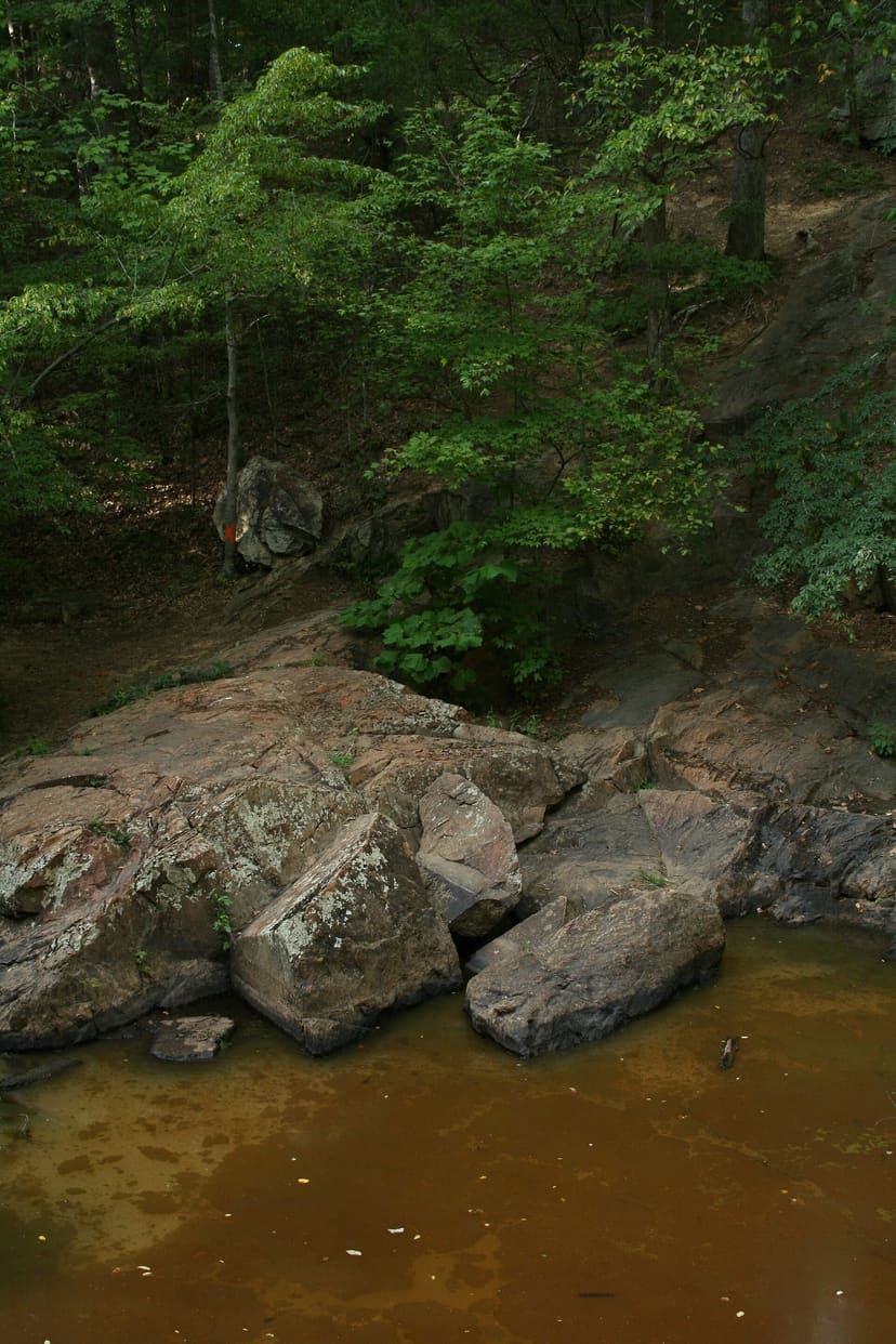 Rocky creek and wooded slope at the Old Mill Dam area of Cedarock Park