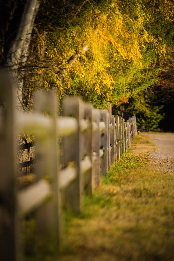 Split-rail fence and wooded path in autumn at Frank Liske Park in Concord