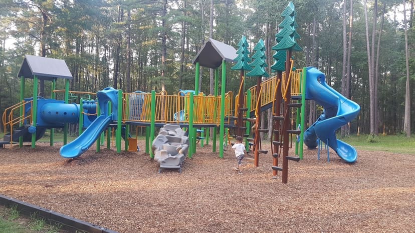 Blue-and-green playground equipment beneath tall pines at Mazarick Park
