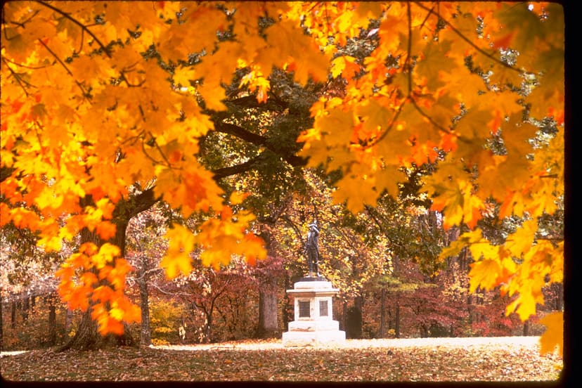 Guilford Courthouse National Military Park battlefield