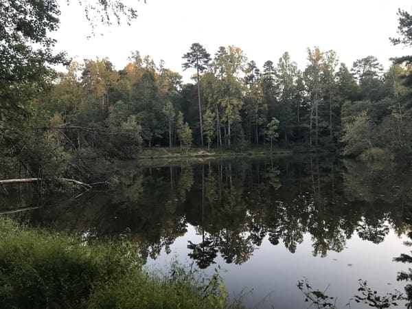 Wooded pond at Gibson Park near High Point and Jamestown