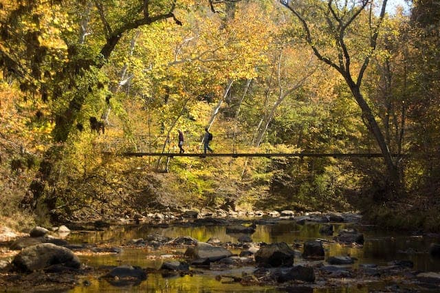 Footbridge crossing the Eno River amid autumn foliage at Eno River State Park
