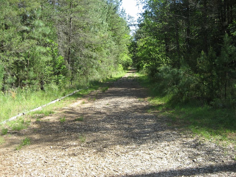 Straightaway of the historic Occoneechee Speedway trail