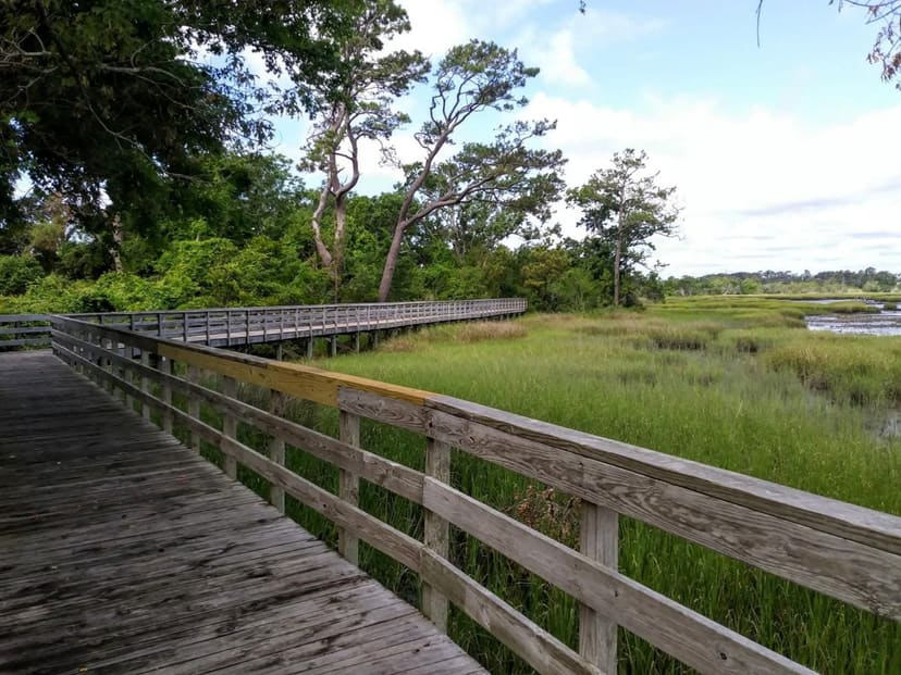 Wooden boardwalk curving through the marsh at Calico Creek