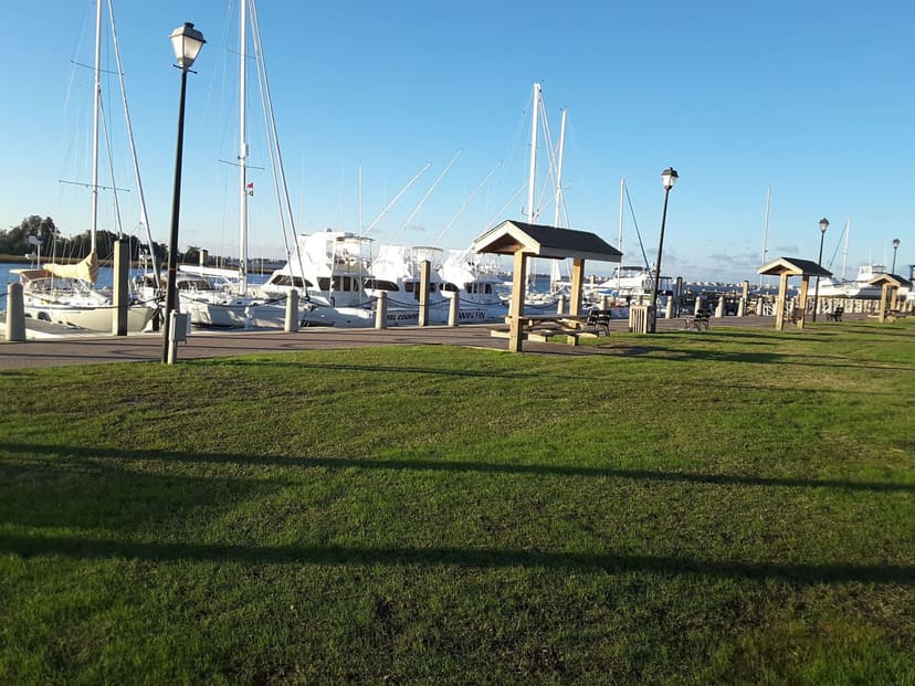 Waterfront lawn, docks and shelters at Jaycee Park