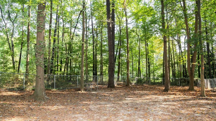 Fenced wooded Carolina Pines Dog Park