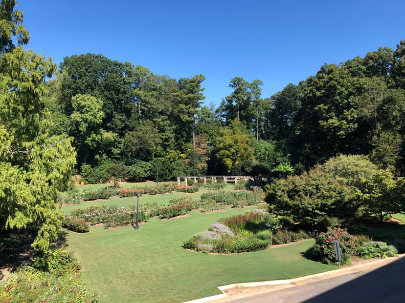 Raleigh Rose Garden beds blooming beside the historic theatre campus