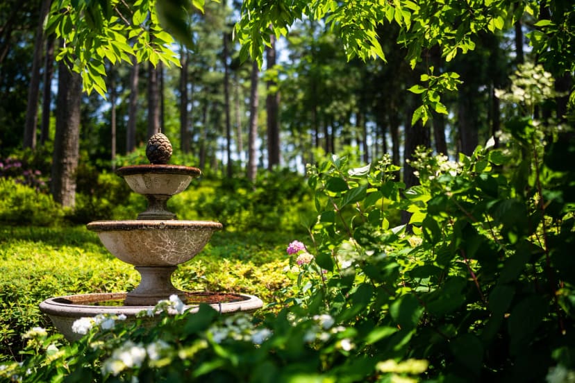 Colorful flowers and paths at WRAL Azalea Gardens