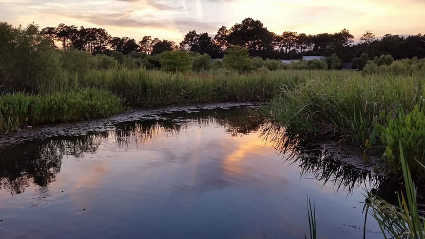Sunset reflected in the pond and wetlands at James E. L. Wade Park in Wilmington