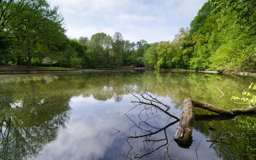 Prospect Park in New York City