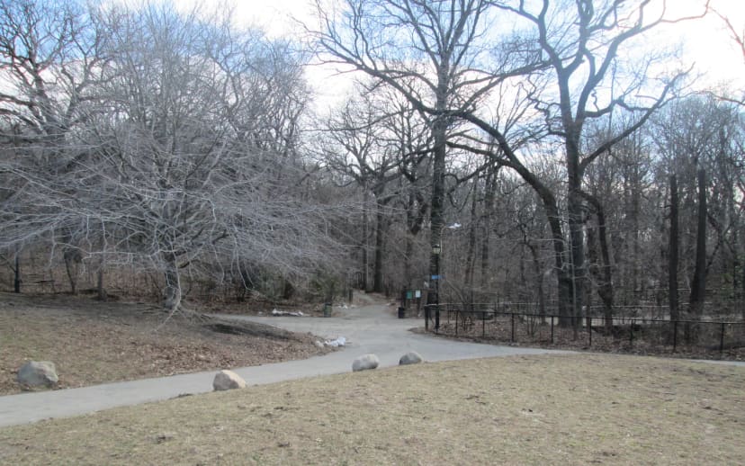 Prospect Park Ravine and Waterfall at Prospect Park