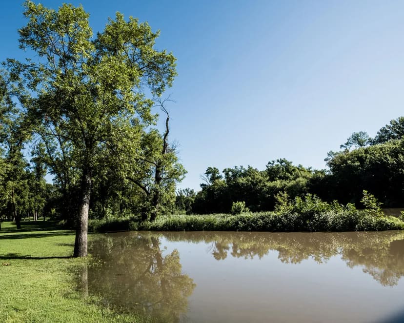 A visitor view through Lindenwood Park in Fargo