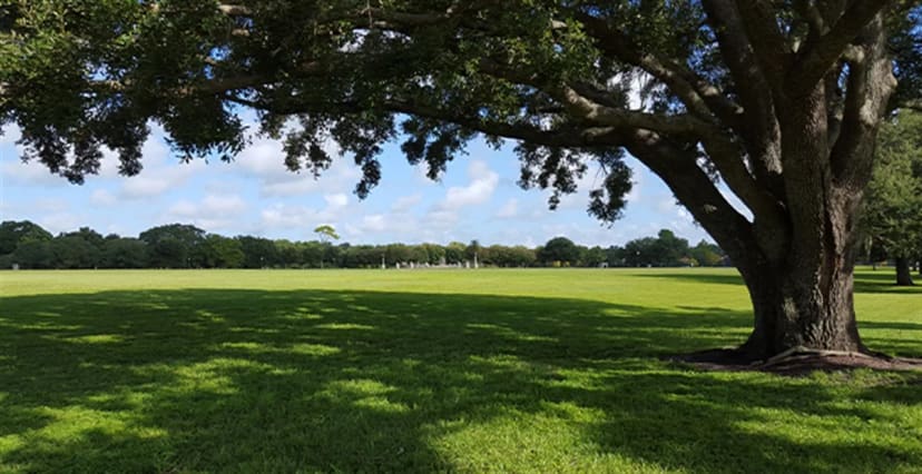 Baseball and softball fields at Blue Jacket Park