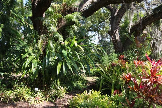 The Grove and amphitheater at Mead Botanical Garden