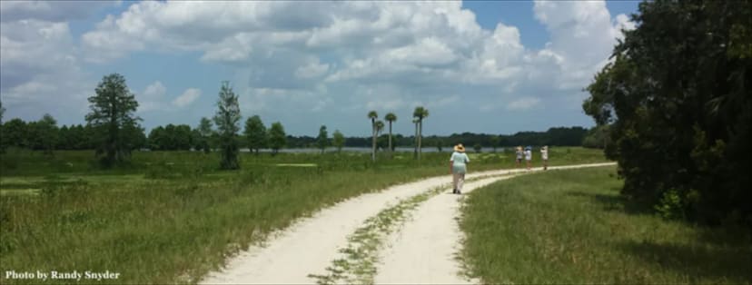 Orlando Wetlands in Central Florida