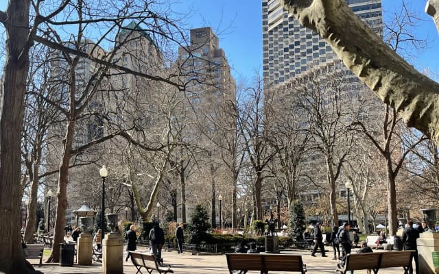 Rittenhouse Square Central Plaza and Reflecting Pool at Rittenhouse Square