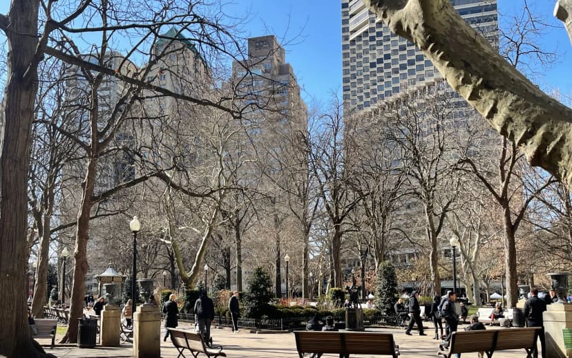 Rittenhouse Square Central Plaza and Reflecting Pool at Rittenhouse Square