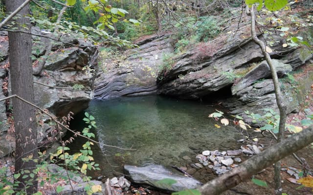 Devil's Pool at Wissahickon Valley Park