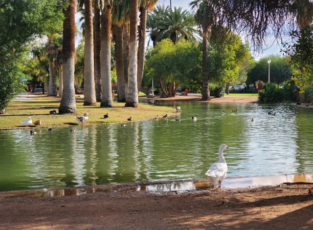 Encanto Pool at Encanto Park