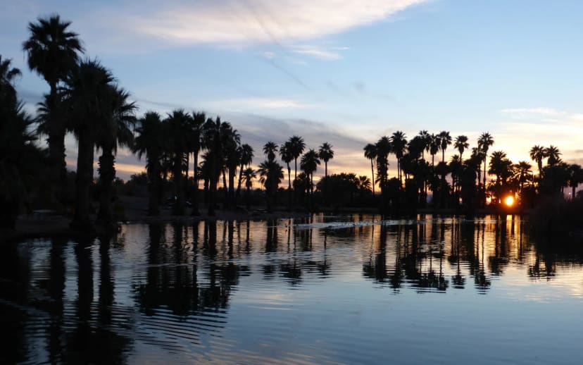 Desert Botanical Garden at Papago Park