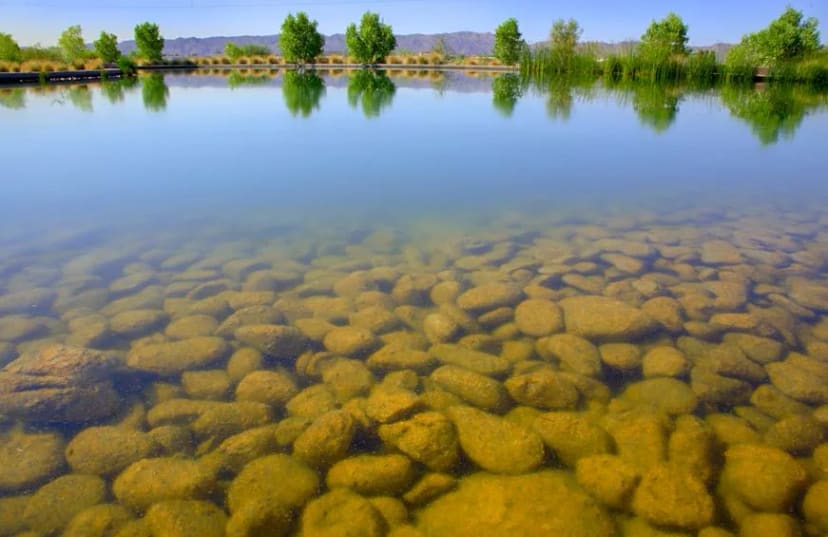 Rio Salado Habitat Restoration Area in Phoenix