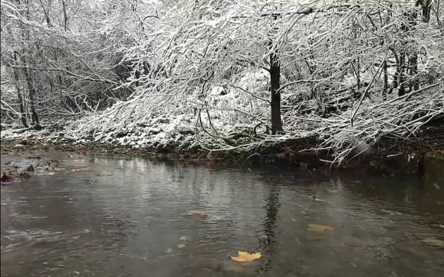 Nine Mile Run Trail at Frick Park