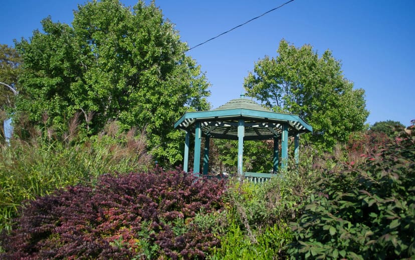 Schenley Park in Pittsburgh