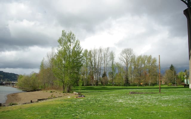 Cathedral Park Dog Off-Leash Area at Cathedral Park