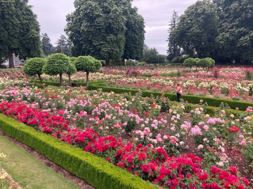 Peninsula Park in Portland