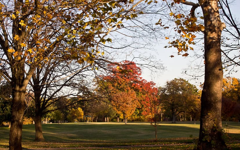 Forest Hill Pickleball Courts at Forest Hill Park