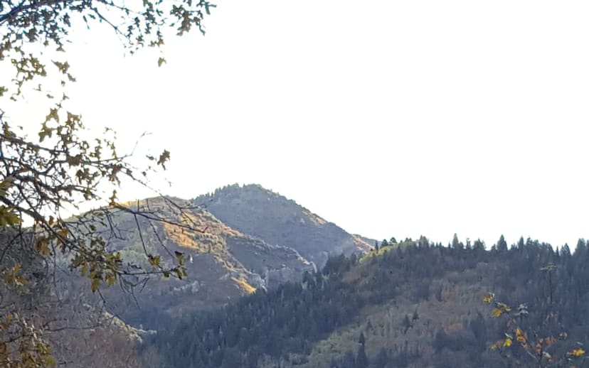 Millcreek Canyon in the Salt Lake City and Wasatch Front area