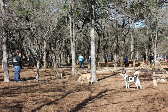 Hardberger Park East dog park at Phil Hardberger Park