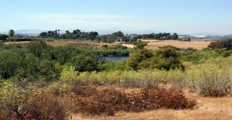 Guajome Regional Park in Oceanside, California
