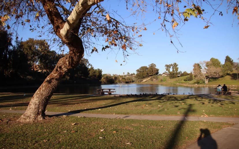 Libby Lake Park in Oceanside, California