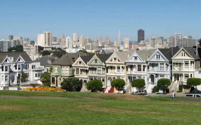 Off-leash dog play area at Alamo Square